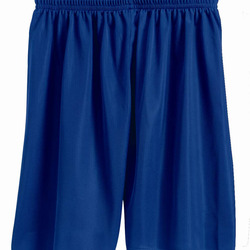 BDG ADT 7 MINI MESH SHORT