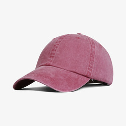 FARENHEIT PIG DYE CAP
