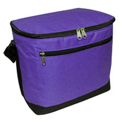 Joseph Lunch Cooler Bag