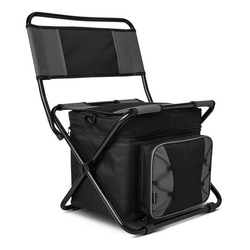 Folding Cooler Chair